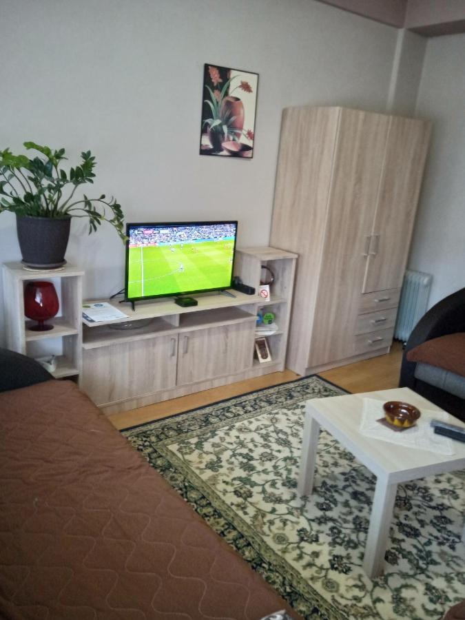 Apartman Nikolic بور المظهر الخارجي الصورة