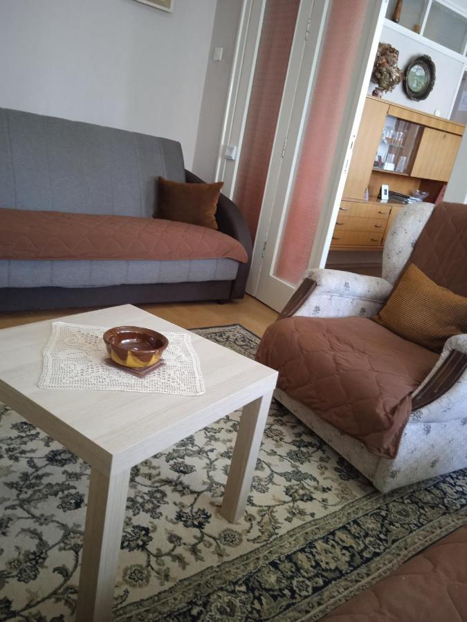 Apartman Nikolic بور المظهر الخارجي الصورة