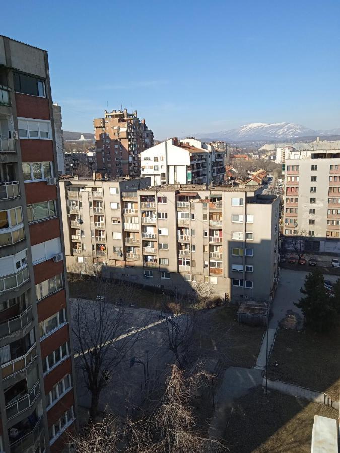 Apartman Nikolic بور المظهر الخارجي الصورة