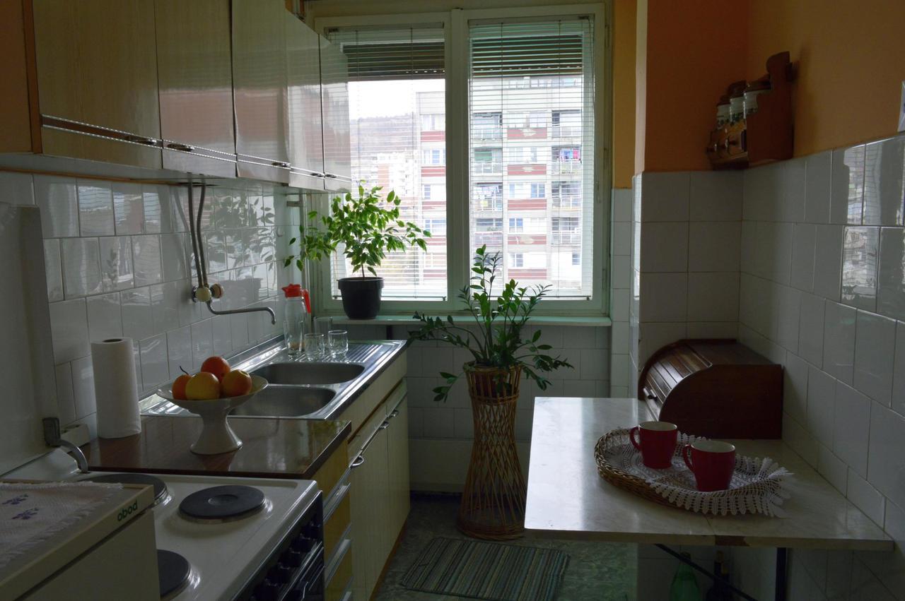 Apartman Nikolic بور المظهر الخارجي الصورة